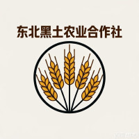 企业logo
